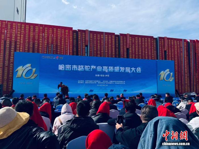 掌握蓝鲸体育直播：10个让您的观赛体验更精彩的技巧 - 蓝鲸体育直播